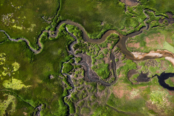 istock Drone capture of marshland,wildlife,Cape Cod,Massachusetts,USA 1178964330