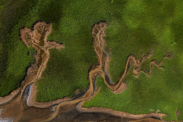 istock Drone capture of marshland,wildlife,Cape Cod,Massachusetts,USA 1178964344