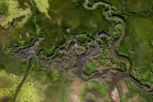 istock Drone capture of marshland,wildlife,Cape Cod,Massachusetts,USA 1178964366
