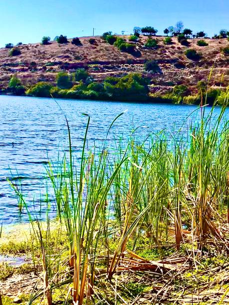 istock Lake Jennings, California 1178965007