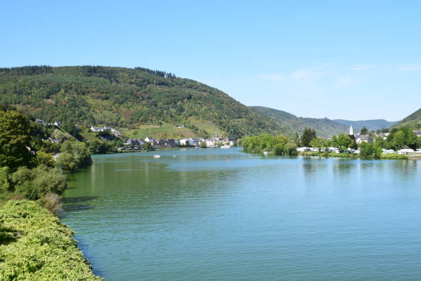istock Mosel valley near Alf 1178966834