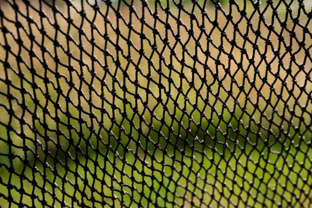 istock Black net hanging in front of tall, green grass 1178967434