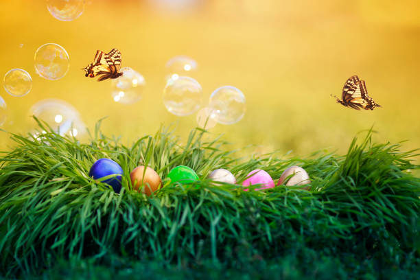 Life Easter concept. Green sprouts with spring flowers and butterfly isolated on white.