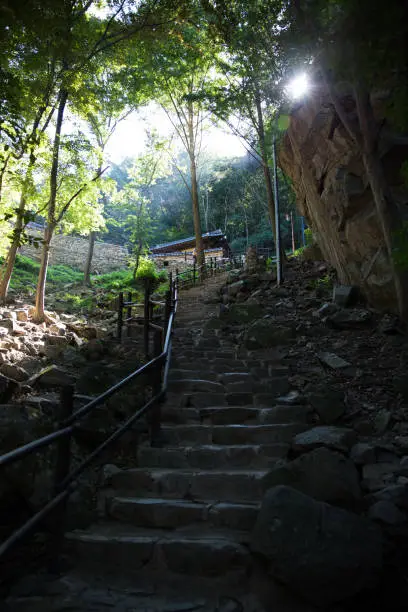 A hiking trail with stairs.