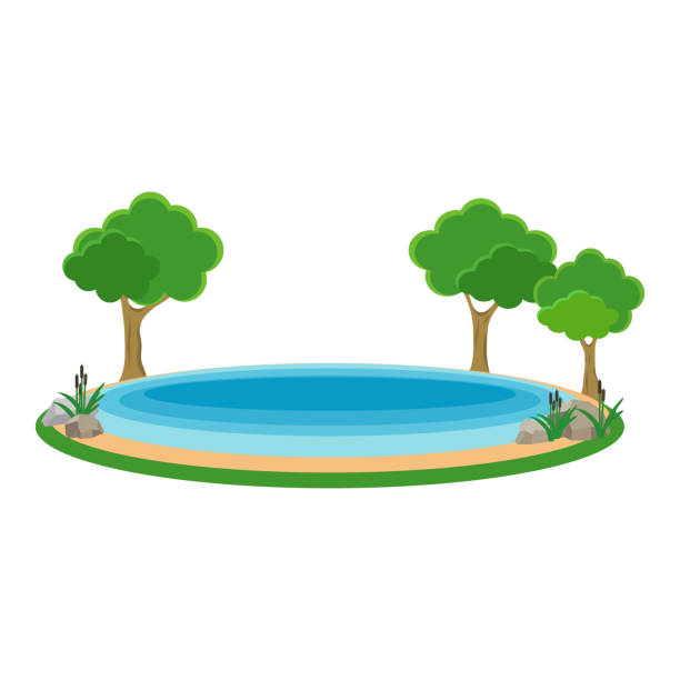 istock Lake, icon lake, water, stones, reeds, grass. Flat design, vector. 1178974809