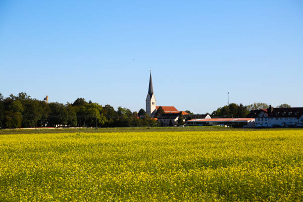 istock Feldmochinger church tower with rape field 1178983275