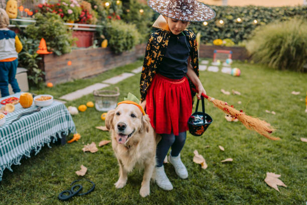 Ready for some trick or treating Costumed dog on a trick or treating adventure with kids dog in halloween hat of witch stock pictures, royalty-free photos & images