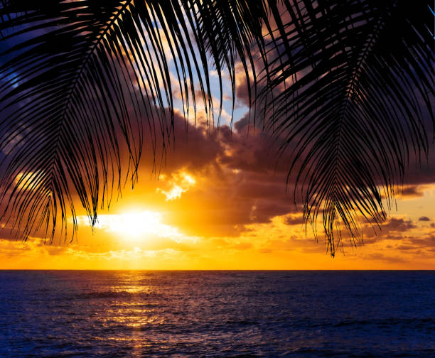 istock sunset landscape. beach sunset. sunset on the beach 1178985514