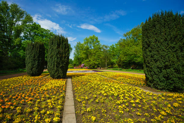 The Dingle is Shrewsbury, public gardens which were open during the pandemic and provided a beautiful display of bright colourful plants and flowers for the people of Shrewsbury to enjoy on their daily exercise walks.