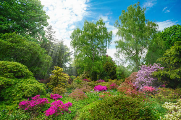 istock Green beautiful park. City garden 1178985679