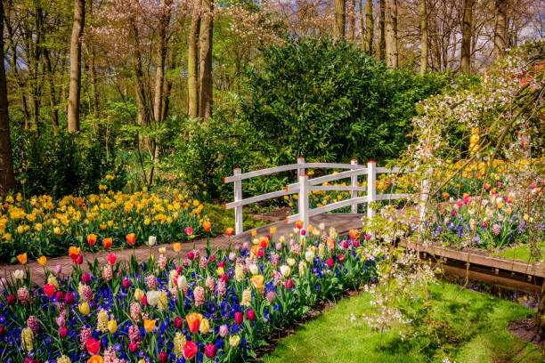 istock spring landscape. landscape with flowers on a meadow 1178985815