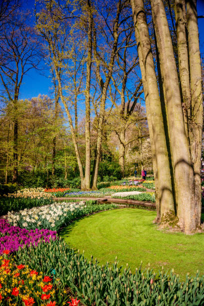 istock Beautiful garden. Park in The Spring. Spring landscape 1178985876