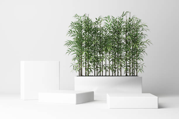 3D render of tropical plants isolated on white background.