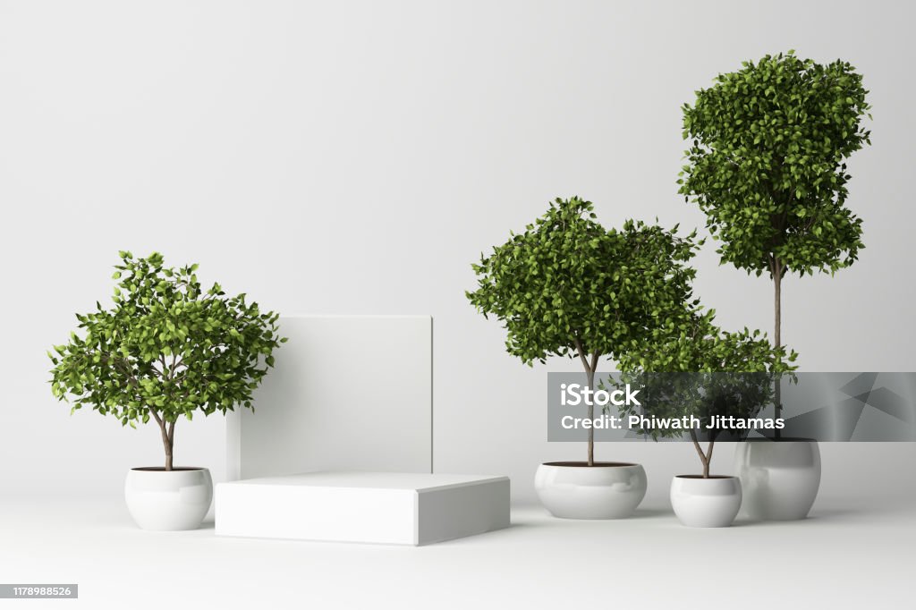 3D render of tropical plants isolated on white background. Tree Stock Photo