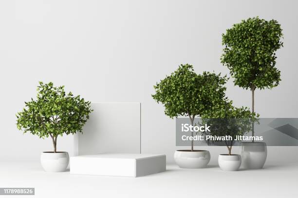 3d Render Of Tropical Plants Isolated On White Background Stock Photo - Download Image Now