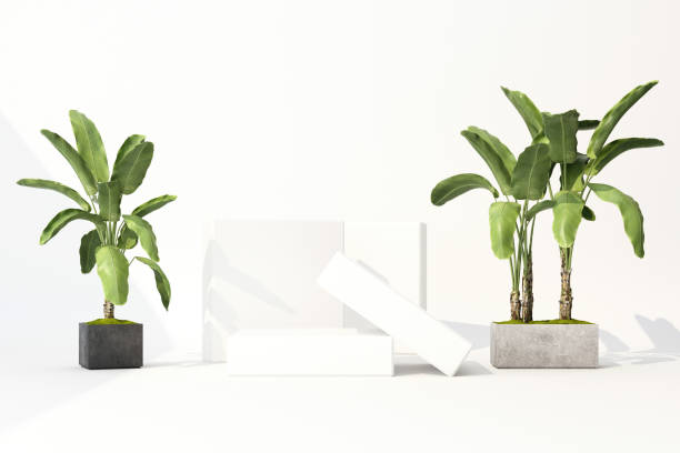 istock 3D render of tropical plants isolated on white background. 1178988566