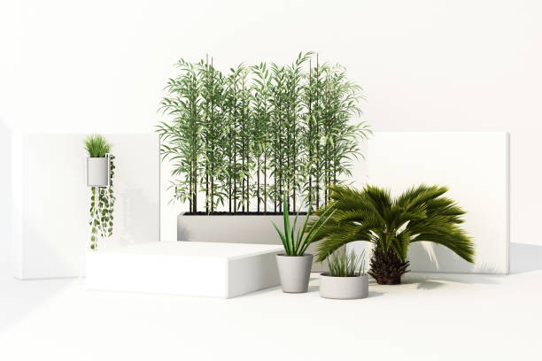 istock 3D render of tropical plants isolated on white background. 1178988586