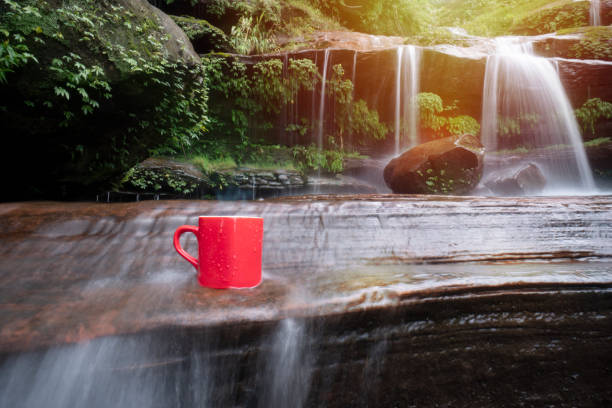 istock red cup of coffee with waterfall nature background 1178989542