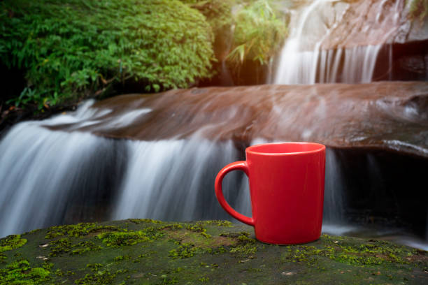 istock red cup of coffee with waterfall nature background 1178989592