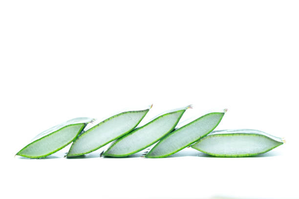 istock Aloe vera sliced isolated on white background 1178989718