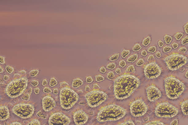 istock Human Virus, flu, view of a virus under a microscope, Viral disease outbreak. Infectious disease. 3d rendering 1178992310