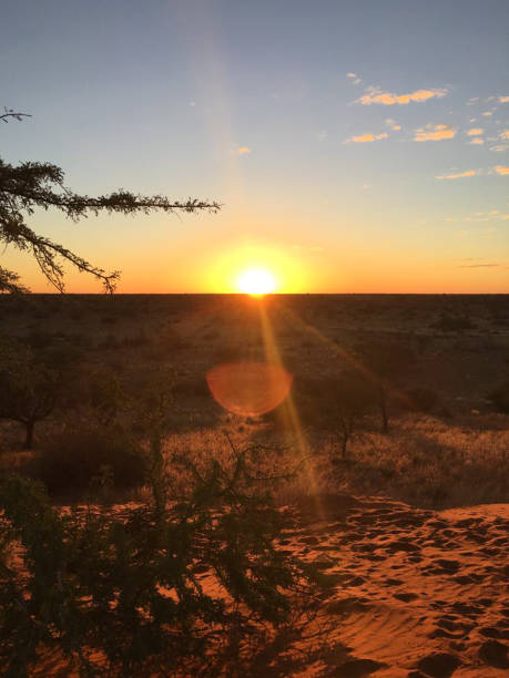 istock Orange sunset on the horizon on the desert 1178992407