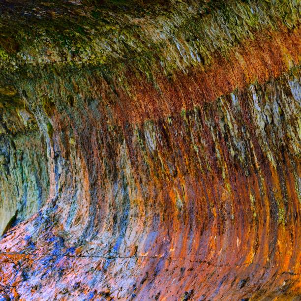 textura molhada da parede de pedra com algi em etretat, normandy, france - algi - fotografias e filmes do acervo