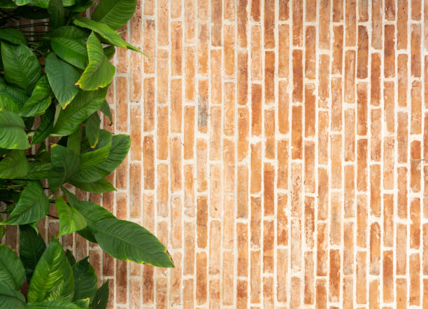 istock Red Brick wall texture with green leaves plant decoration 1178994942