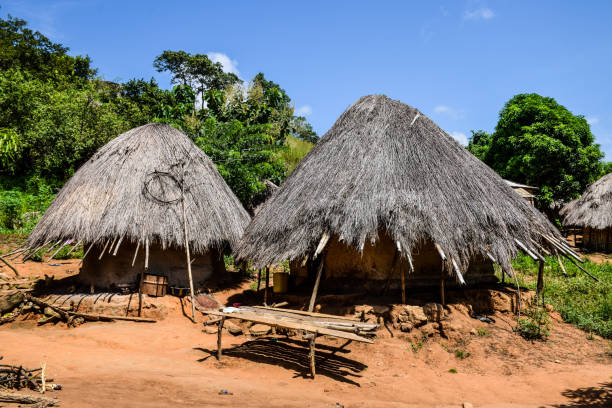 istock Humble dwelling of thatched mud house 1178997388