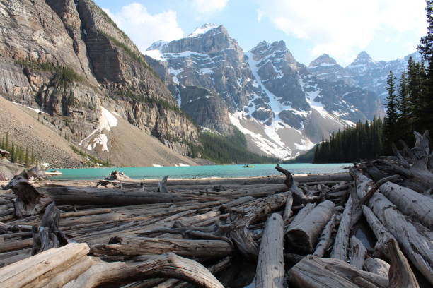 istock Banff Canada National Parks and wildlife 1178999202