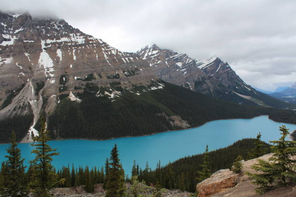 istock Banff Canada National Parks and wildlife 1178999293