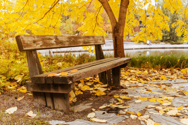 Free Stock Photo of Wooden Bench With Leaves on the Ground | Download ...