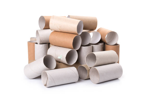 istock empty paper toilet rolls on white background 1178999867