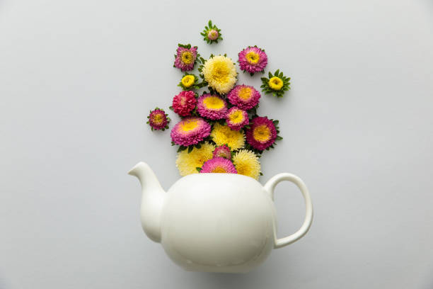istock top view of asters above teapot on white background 1178999892