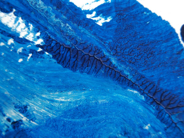 istock Blue and white acrylic painting texture on white paper background by using rorschach inkblot method. 1179002610