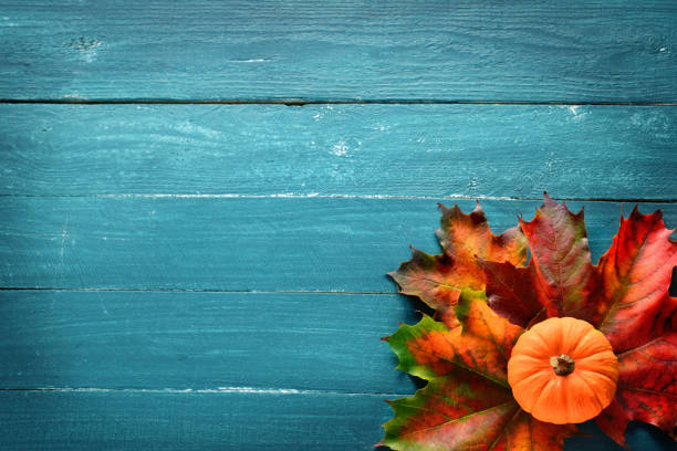 Colorful dried leaves on rustic blue wooden background with copy space