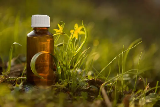 Fresh herbs - Natural remedies, amber  bottle.