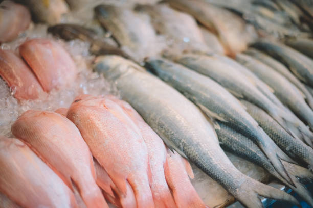 Fresh fishes on ice