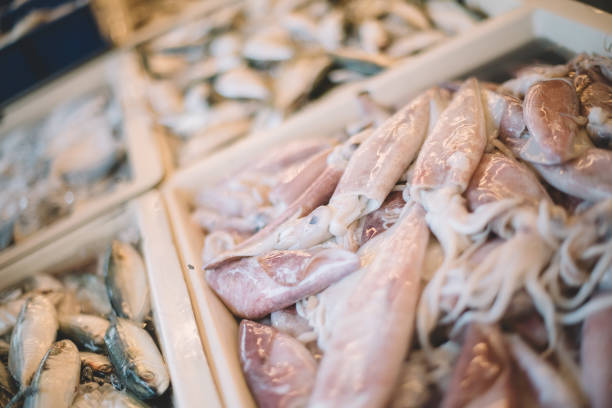 Splendid Squid (Loligo duvauceli), fresh seafood market