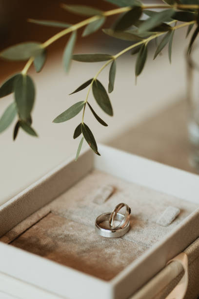 A pair of wedding rings in a box with a beautiful atmosphere. stock photo