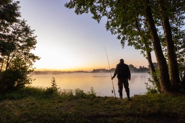 Fishing angler standing on the lake shore during sunrise freshwater fishing photos stock pictures, royalty-free photos & images