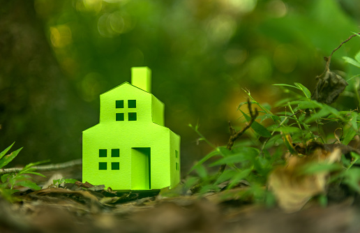 Green house in a natural forest environment.