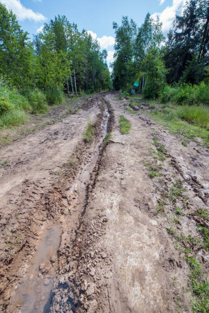istock Muddy Path to Kamenny Gorod - The Stone Town in The Urals, Russia 1179012007