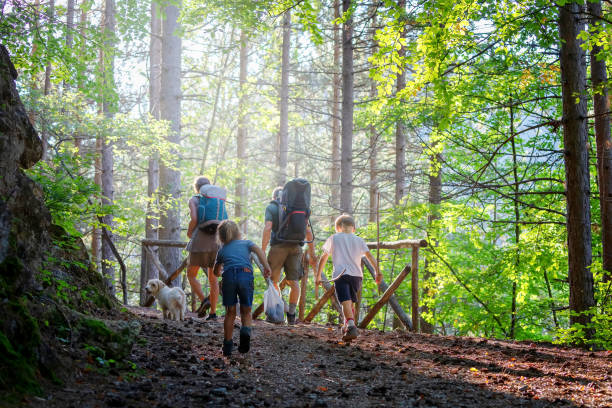 Family of hikers in the woods. stock photo