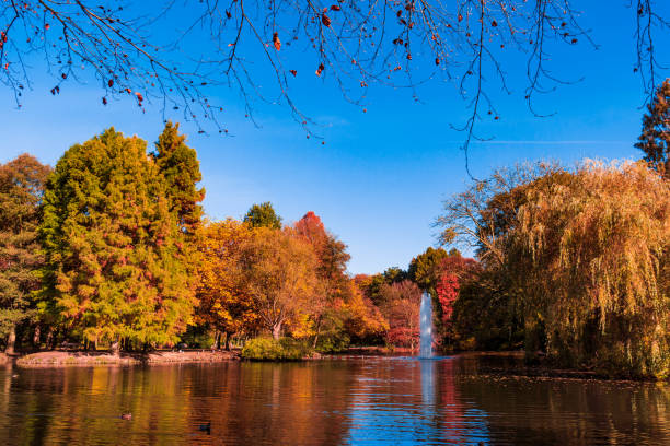 istock colorful autumn  reflecting in the water 1179013069