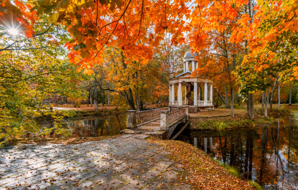 istock Autumn in old abandoned botanical park, Europe 1179015249