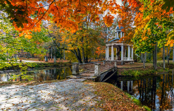 istock Autumn in old abandoned park, Europe 1179015253