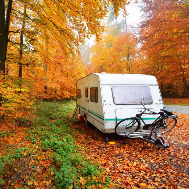 istock Caravan trailer with bicycle parked in a beautiful beech tree forest in autumn. 1179015841