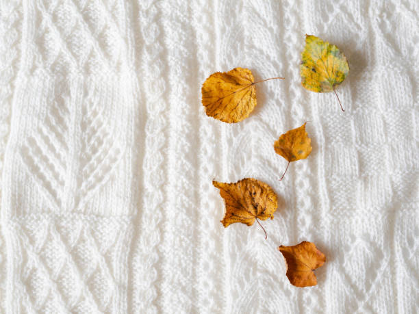 istock Dry yellow leaves on warm knitted light plaid. Autumn composition on a white pattern background 1179016383