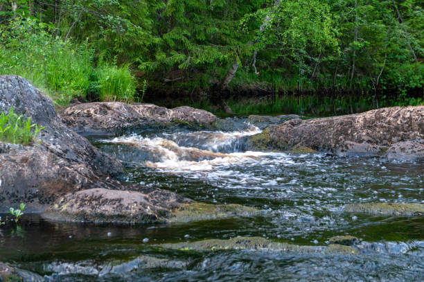 istock Ahvenkoski waterfall on the Tohmajoki River, 1179027325
